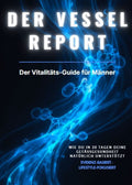 Book cover of 'Das Vessel Report' with blue abstract design on a dark background